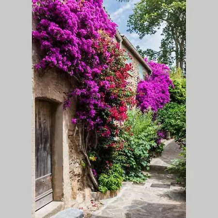 Apartment Coquet 2 Pieces Coeur Vieil